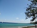 Western Michigan [2010] 653